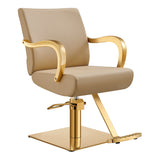 Meteor Gold Salon Styling Chair Beige DIR