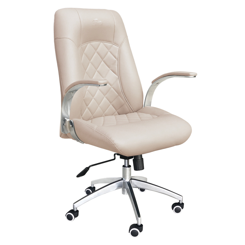 Customer Chair Diamond 3209 in Gray Whale Spa Scissors More